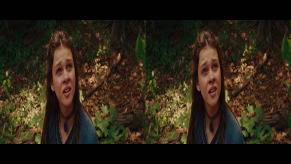 Náhled Posledni.Vladce.Vetru.3D.1080p.Bluray.Half-SBS.DD.CZ-.mkv (2)