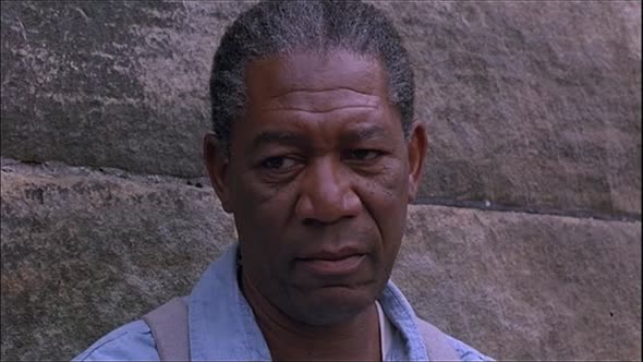 Náhled Vykoupeni z věznice Shawshank.avi (9)