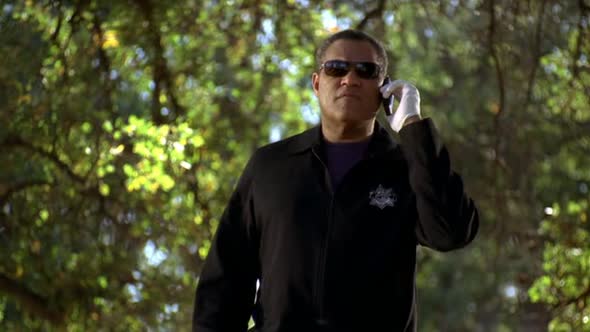 Náhled Kriminálka Las Vegas S10E12 - CSI - DVDrip CZdabing.avi (1)