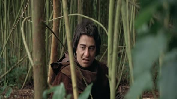 Náhled Návštěvníci (1993)CZ fantasy komedie.avi (2)
