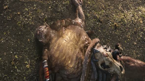 Náhled Warcraft První Střet.mkv (9)