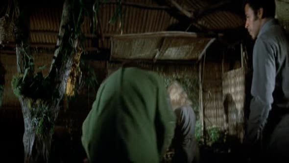 Náhled 5.Bitva o Planetu opic 1973.avi (2)