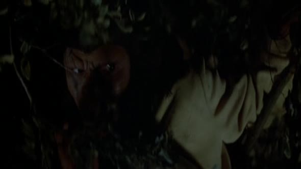 Náhled 5.Bitva o Planetu opic 1973.avi (7)