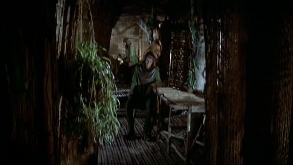 Náhled 5.Bitva o Planetu opic 1973.avi (9)