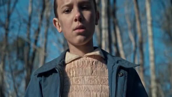 Náhled Stranger Things.S01E06.CZ titulky.WEBRip.avi (4)