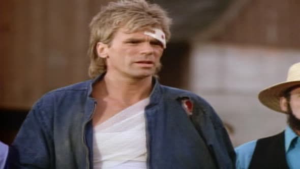 Náhled macgyver-04x03-outsideri-fs-dvd-xvid-cz-cb.avi (2)