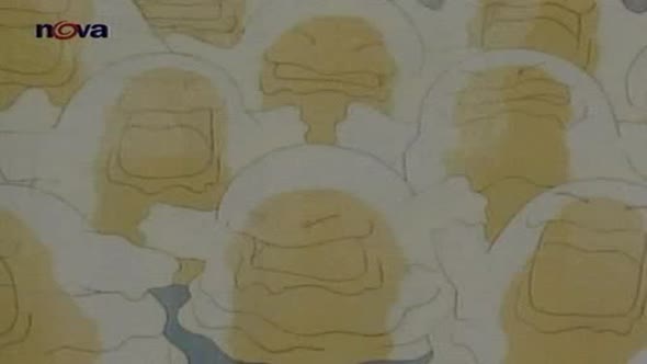 Náhled 30.Zamilovaný Magnemite.avi (9)