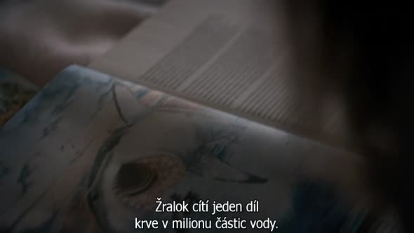 Náhled Stranger_Things_S01E06.720p.HDTV.CZ.Titulky.avi (3)