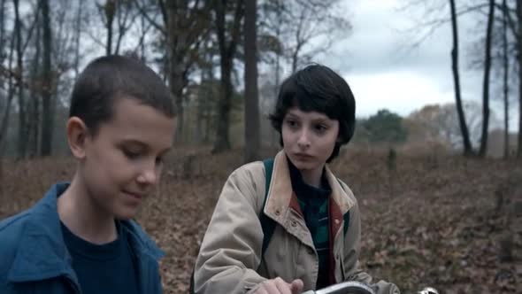 Náhled Stranger.Things.S01E03.mkv (9)