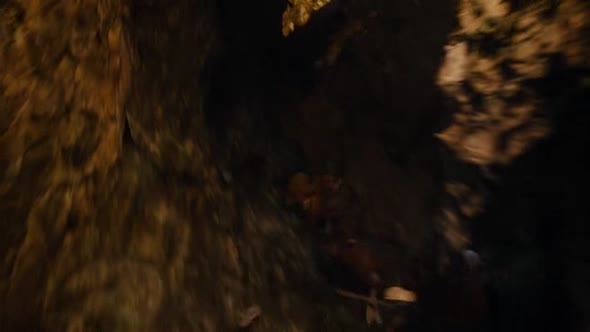 Náhled Hobit-Neocekavana-cesta-Hobbit-2012-CZ.avi (8)