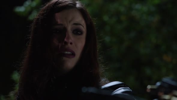 Náhled Arrow S01E08.avi (10)