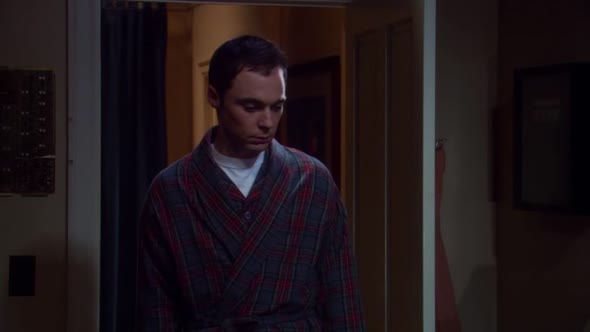 Náhled Teorie velkeho tresku S03E20 Spagetovy katalyzator.avi (9)