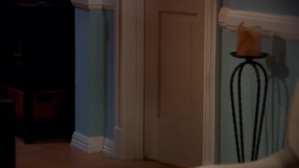 Náhled Teorie velkeho tresku S02E08 Rozsireni o tapir-Spock.avi (8)