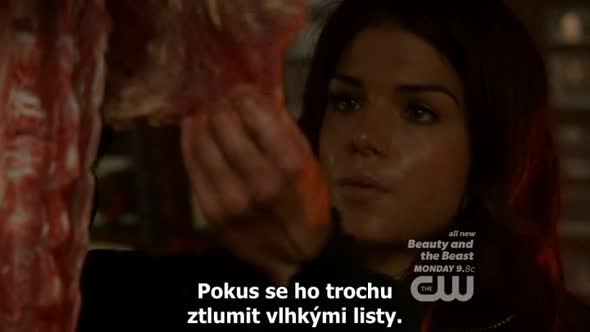 Náhled The-100-S01E11-cz-titulky.avi (1)