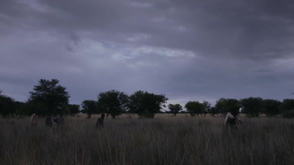 Náhled Cena svobody(2014) Cz dabing.avi (2)