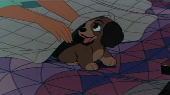 Náhled LADY A TRAMP-1-CZ..avi (1)