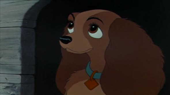 Náhled LADY A TRAMP-1-CZ..avi (10)