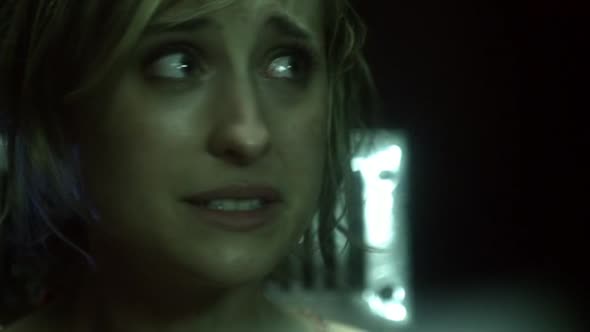 Náhled Smallville 08x05 DVDRIP CZ.avi (6)