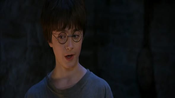 Náhled Harry Potter a Kameň mudrcov - sk dabing .avi (1)