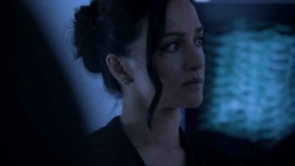 Náhled Blindspot.S02E04.HDTV.x264-LOL.mkv (9)