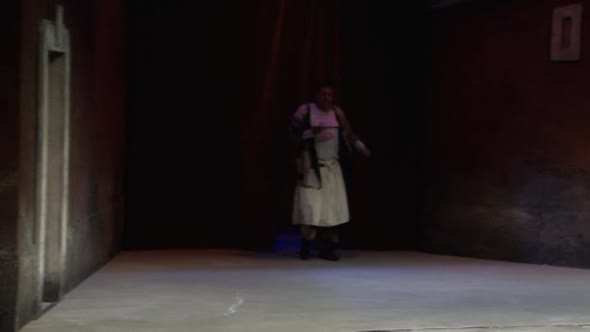 Náhled Sluha dvou pánů (2000)CZ komedie.avi (7)