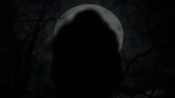 Náhled Čarodějnice Witch, The (2015) CZdub.mkv (1)
