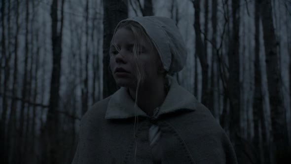 Náhled Čarodějnice Witch, The (2015) CZdub.mkv (5)