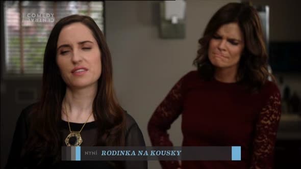 Náhled Rodinka na kousky S01E18 - Life in Pieces - TVrip CZdabing.avi (9)