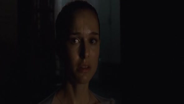 Náhled Cerna.labut.(2010).BRRip.CZ.avi (9)